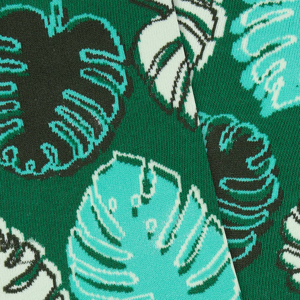Monstera Madness