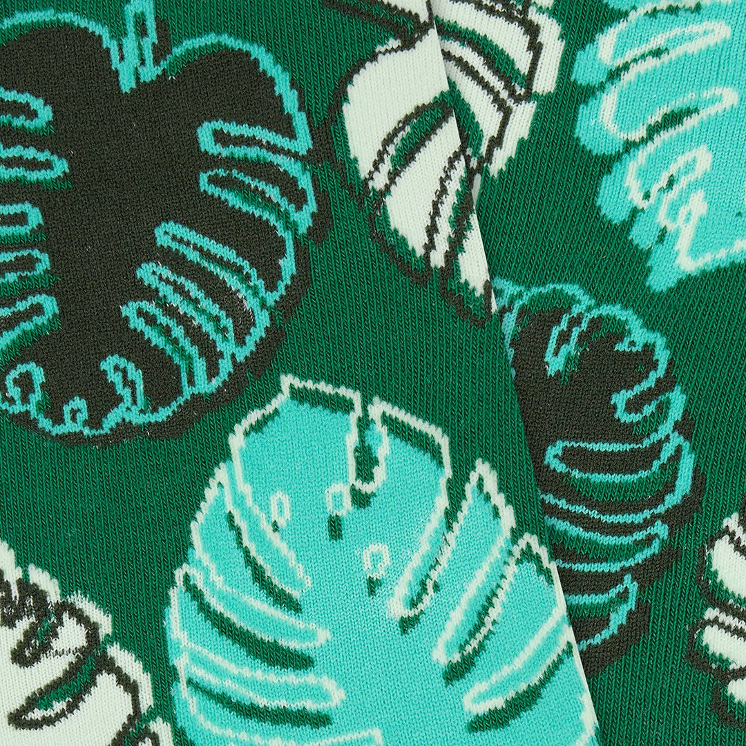 Monstera Madness