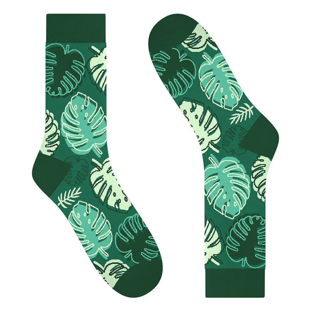 Monstera Madness