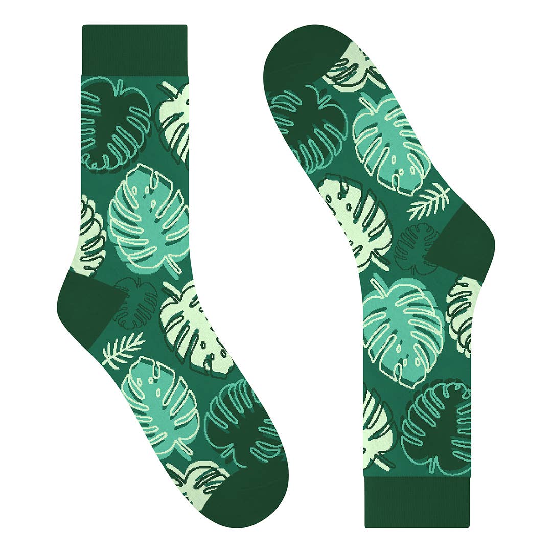 Monstera Madness