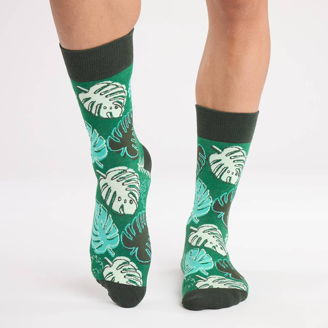 Monstera Madness